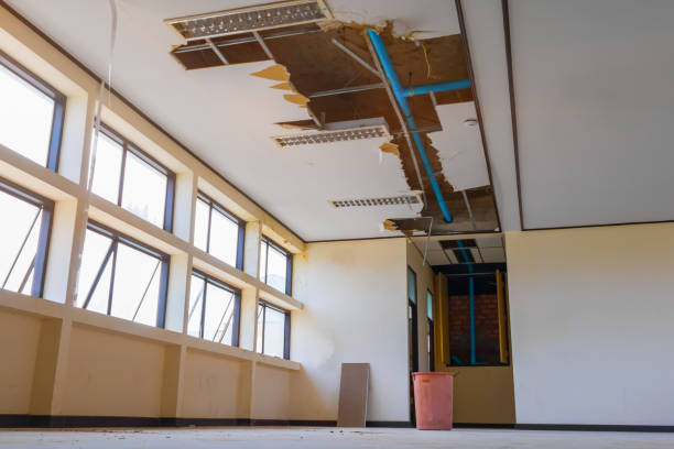 Best Water damage restoration near me  in Madison, MN