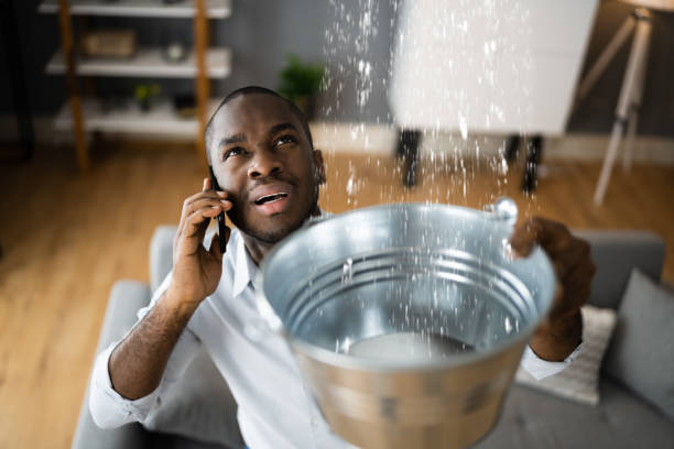 Madison, MN Water damage restoration Pros