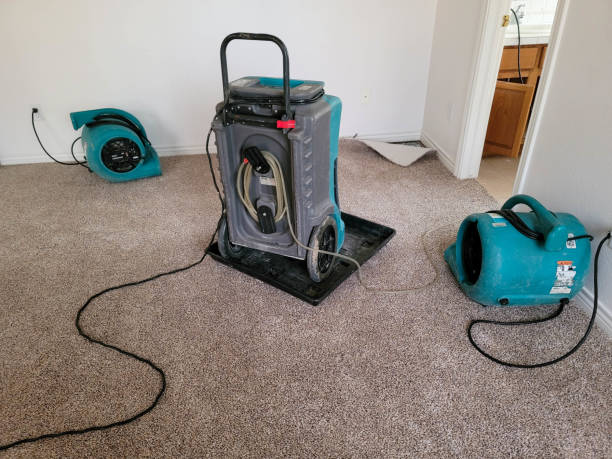 Best Commercial water damage restoration  in Madison, MN