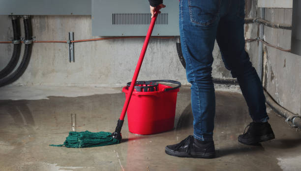Best Water damage repair service  in Madison, MN