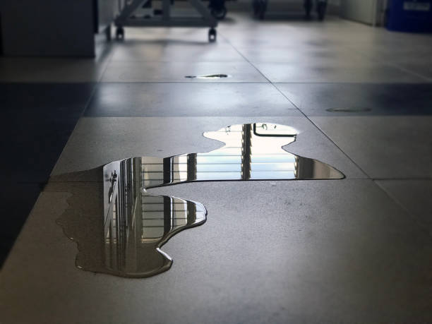 Best Water damage restoration near me  in Madison, MN