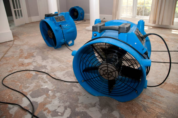 Best Residential water damage restoration  in Madison, MN