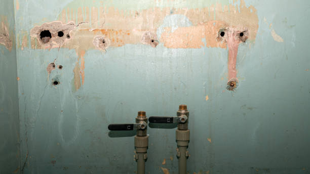 Best Water damage contractors near me  in Madison, MN