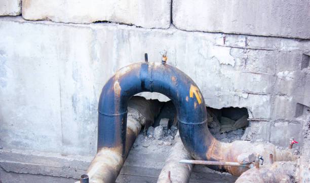 Best Water damage cleanup near me  in Madison, MN