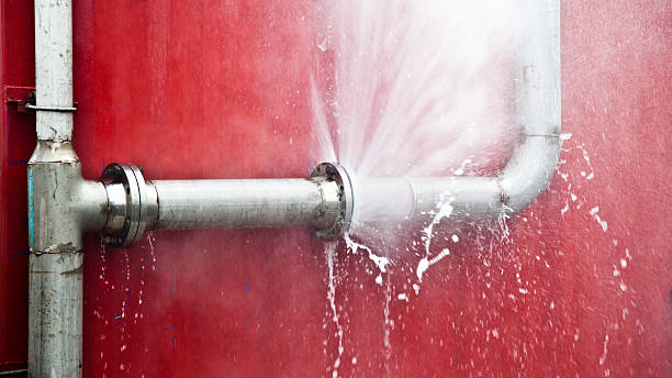 Best Fire Damage Restoration  in Madison, MN